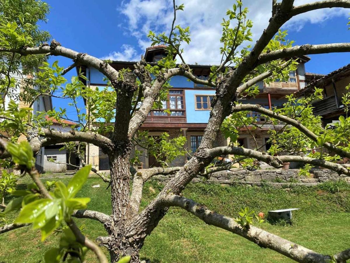 Casa Rural El Bohio Arriondas Dış mekan fotoğraf